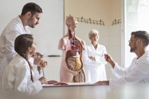 Bases de Concurso de Méritos y Oposición para docentes de la Escuela de Ciencias de la Salud – Carrera de Medicina