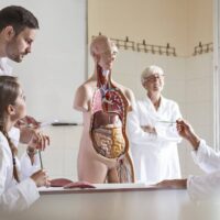 Bases de Concurso de Méritos y Oposición para docentes de la Escuela de Ciencias de la Salud – Carrera de Medicina